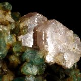 Beryl (variety emerald), Albite (variety cleavelandite), Calcite, Apatite
37x18x33mm
(Autor: Fiebre Verde)