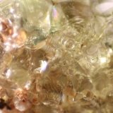 Opal (variety hyalite)
FOV 8 mm
(Autor: Firmo Espinar)