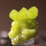 Pyromorphite
12mm x 14mm x 7mm
(Autor: Firmo Espinar)