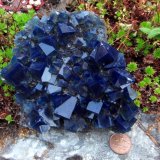 fluorite
12 cm across
(Autor: Jesse Fisher)