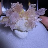 Creedite
Mina Qinglong, Dachang, Qinglong, Prefectura Autónoma Qianxi'nan, Provincia Guizhou, China
14mm x 15mm x 8mm
(Autor: QT.JojoGuo)