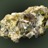 Epidote with Andradite
44 mm x 28 mm x 16 mm
(Autor: Firmo Espinar)