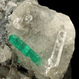 Beryl (variety emerald), Calcite, Pyrite, Quartz
105x65x60mm, xl=24mm
(Autor: Fiebre Verde)