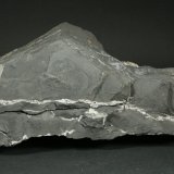 Beryl (variety emerald) with Pyrite
18x10x8cm
(Autor: Fiebre Verde)