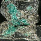 Beryl (variety emerald) with Pyrite
Detail - FOV 12cm
(Autor: Fiebre Verde)