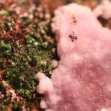 Calcite and Conichalcite.
10 cm x 6 cm x 4 cm
(Autor: Firmo Espinar)