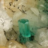 Beryl (variety emerald), Calcite, Quartz, Goethite
49x52x70mm, main xl=7x4mm
(Autor: Fiebre Verde)