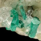 Beryl (variety emerald), Calcite, Quartz, Goethite
49x52x70mm, main xl=7x4mm
(Autor: Fiebre Verde)