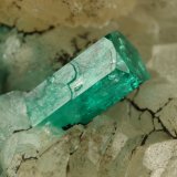 Beryl (variety emerald), Calcite, Quartz, Goethite
49x52x70mm, main xl=7x4mm
(Autor: Fiebre Verde)