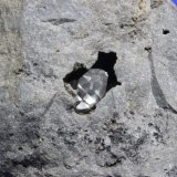 Quartz
15 x 11.5 cm
(Autor: Don Lum)