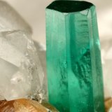Beryl (variety emerald), Calcite, Parisite
8x8x8cm, H35mm, xl=8mm
(Autor: Fiebre Verde)