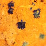 Azurite
FOV 11 mm
(Autor: Firmo Espinar)