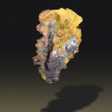 limonite
24 mm x 44 mm x 11 mm
(Autor: Firmo Espinar)