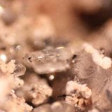 Fluorapatite
FOV 7 mm
(Autor: Firmo Espinar)