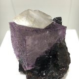 Calcite on Fluorite on Sphalerite
4.5 x 4.5 cm for the fluorite cube
(Autor: Jean Suffert)