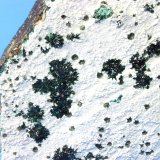 Atacamite
20 x 18 x 4.0 cm
(Autor: Don Lum)