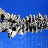 Pyrite, Marcasite
4.5 x 2.0 cm
(Autor: Don Lum)