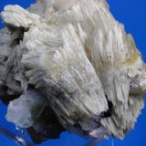 Strontianite, Calcite, Fluorite
10.5 x 10 cm
(Autor: Don Lum)