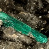 Beryl (variety emerald), Calcite, Pyrite
172x100x100mm, xl=18mm
(Autor: Fiebre Verde)