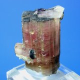 Tourmaline, Quartz
4.2 x 3.5 cm
(Autor: Don Lum)