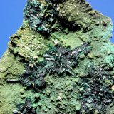 Atacamite
9.5 x 6.7 cm
(Autor: Don Lum)