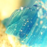 Chalcanthite
FOV 7 mm
(Autor: Firmo Espinar)