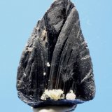 Ferberite
4.5 x 2.8 cm
(Autor: Don Lum)