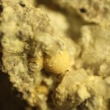 Ferrierite-Mg and Clinoptilolite-Ca
FOV = 6 mm.
(Autor: Firmo Espinar)