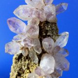 Quartz var amethyst
6.3 x 3.4 cm
(Autor: Don Lum)