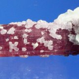 Elbaite (Tourmaline Group), Lepidolite, Albite (var. cleavelandite), Orthoclase
9.2 x 4.0 cm
(Autor: Don Lum)