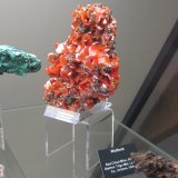 Wulfenite
~ 13 cm
(Autor: Tobi)