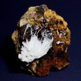 Cerussite
9.2 x 7.9 x 5.4 cm
(Autor: Don Lum)