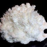 Aragonite
11 x 7.4 cm
(Autor: Don Lum)
