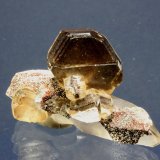 Dolomite, Quartz
5.5 x 3.7 cm
(Autor: Don Lum)