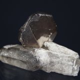 Dolomite, Quartz
5.5 x 3.7 cm
(Autor: Don Lum)