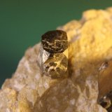 Pyrite
77mm x 70mm x 62mm
(Autor: Firmo Espinar)