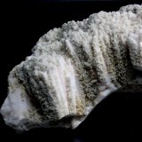 Kutnohorite
15.0 x 8.8 x 4.0 cm
(Autor: Don Lum)