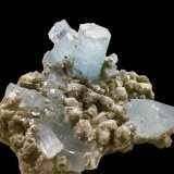 Beryl (variety aquamarine) on Muscovite and Albite
13 X 10 cm, biggest crystal 4.5 cm
(Autor: Jean Suffert)