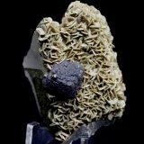 Fluorite, Siderite, Pyrite, Quartz
6.3 x 4.2 cm
(Autor: Don Lum)