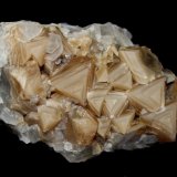 Calcite
6.9 x 3.8 x 2.8 cm
(Autor: Don Lum)