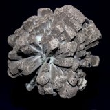 Ilvaite, Hedenbergite
9.8 x 9.0 x 9.6 cm
(Autor: Don Lum)