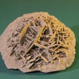 Gypsum
68mm x 59mm x 32mm
(Autor: Firmo Espinar)