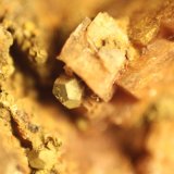 limonite after Pyrite on Dolomite
FOV 6 mm
(Autor: Firmo Espinar)