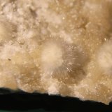 Okenite
Detail
(Autor: Firmo Espinar)