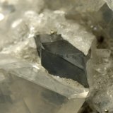 Beryl (variety emerald), Calcite, Pyrite, Dolomite
98x70x38mm, xl=31mm
(Autor: Fiebre Verde)