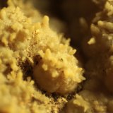Aragonite
FOV 9 mm
(Autor: Firmo Espinar)