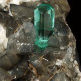 Beryl (variety emerald), Albite (variety cleavelandite), Dolomite, Pyrite
69x71x52mm, xls=20 &amp; 10mm
(Autor: Fiebre Verde)