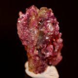 Vesuvianite var. manganoan vesuvianite
3.5 x 2.0 cm
(Autor: Don Lum)