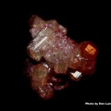 Vesuvianite (var. manganoan vesuvianite)
3.4 x 2.2 cm
(Autor: Don Lum)