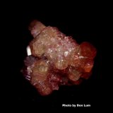 Vesuvianite (var. manganoan vesuvianite)
3.4 x 2.2 cm
(Autor: Don Lum)